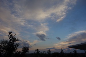 DSC07759