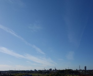 DSC07780
