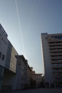 DSC07788