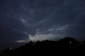DSC07795