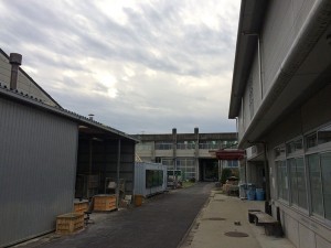 IMG_0177