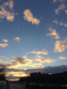IMG_0195