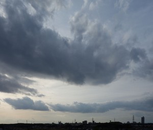 DSC08083