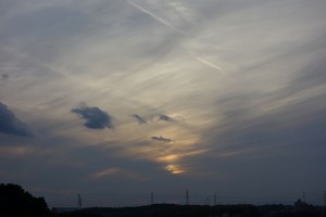 DSC08086