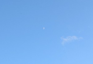 DSC08092b