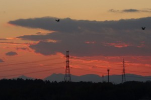 DSC08105