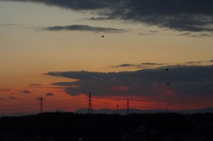 DSC08109