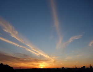 DSC08134