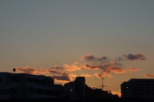 DSC08228