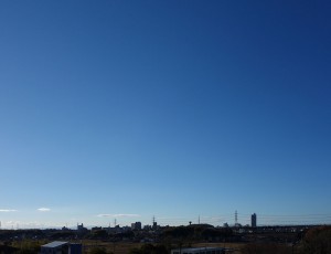 DSC08346