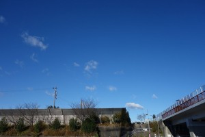 DSC08364