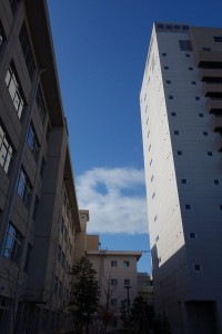 DSC08444