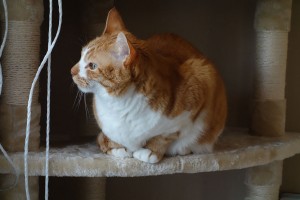 DSC08468