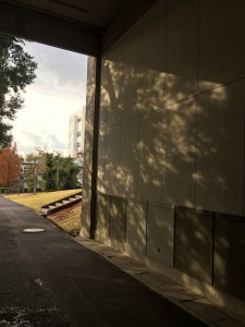 IMG_0328