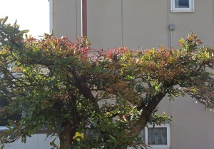 DSC08999