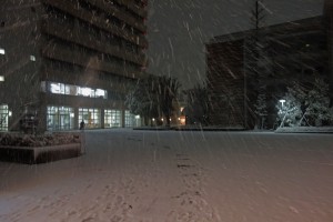 DSC09139
