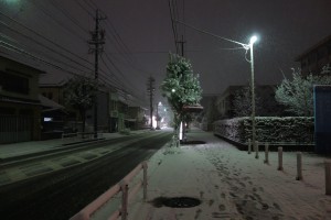 DSC09140