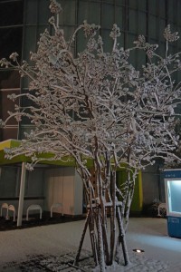 DSC09141