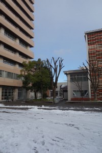 DSC09161