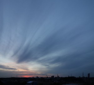 DSC09169