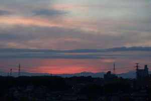 DSC09177