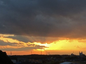 IMG_0443