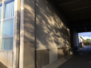 IMG_0485