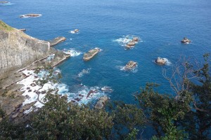 DSC09755