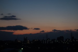 DSC09864