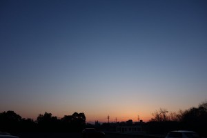 DSC09942
