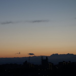 DSC09950