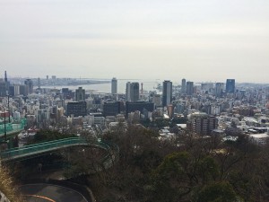 IMG_0869