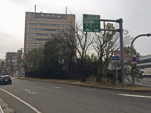 IMG_0881