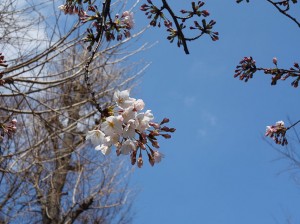 DSC00150