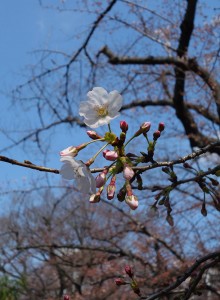 DSC00153