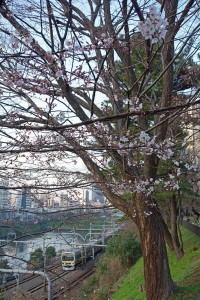 DSC00159