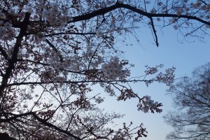 DSC00165