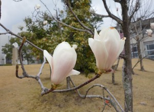 DSC00198