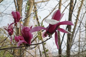DSC00224