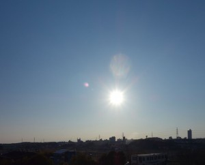 DSC00231