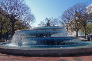 DSC00291