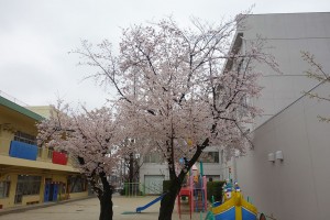 DSC00414