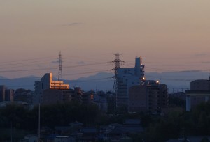 DSC00604