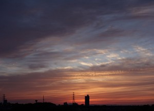 DSC01259
