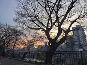 IMG_1074