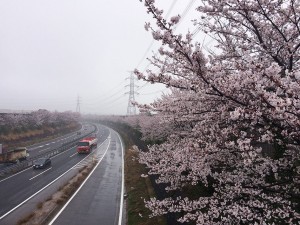 IMG_1146