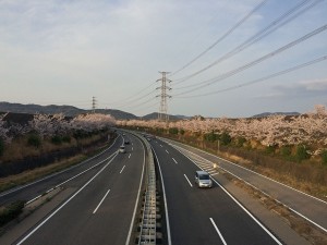 IMG_1168
