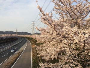IMG_1170