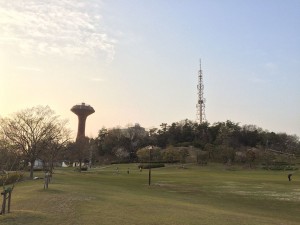 IMG_1183a