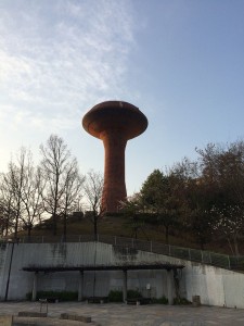 IMG_1186
